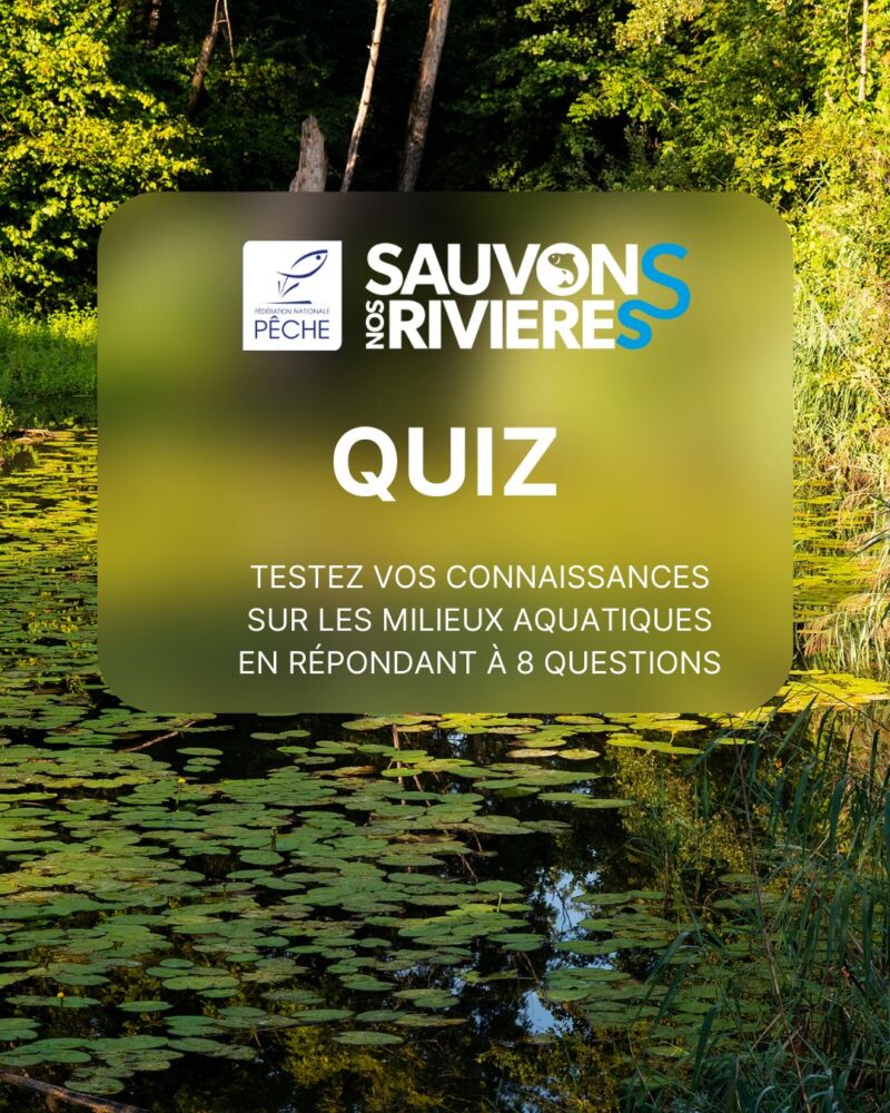 Image for the Tweet beginning: ❔Quiz #SauvonsNosRivières
🌿 Profitez de l’été